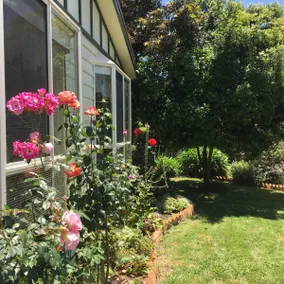 Hazelwood North Lauriana Park Cottage - Image 2