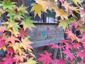 300 years old Japanese Traditional House in Forest - Image 3