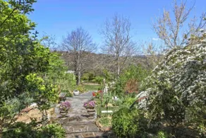 Chiltern Cottage, Blue Mountains Views, Australia - Image 3