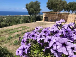 Mema's great view Kefalonia - Image 5
