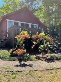 Adirondack Lakefront Getaway - Image 4