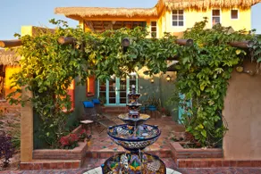 The Charm of Cabo Pulmo 3/3 - Image 4