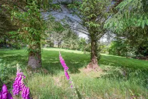A Luxurious Snowdonia Retreat - Sleeps upto 10 - Image 4