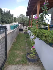 House with Garden - Image 5