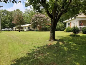 Long/Short stays at Sandy's Barefoot Retreat - Image 2