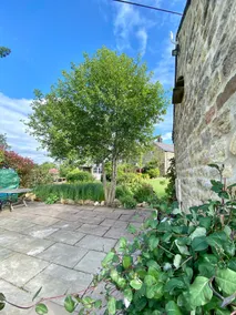 Cottage with beautiful views - Image 4