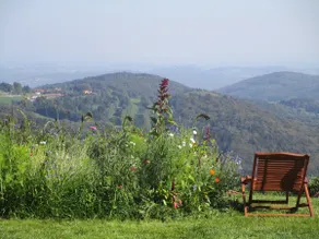 Nyrenoverat fritidshus i Bayerns skog - Image 5