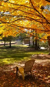 Summer is great at the Bluebird Lakefront. - Image 4