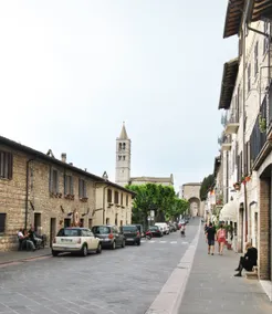 Civico 5 - Image 2