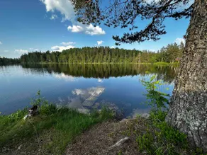 Cozy little cottage at Vegotjern - Image 4