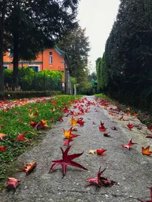 Friuli’s Hills. Sport, nature, relax - Image 3