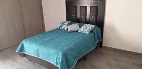 An apartment full of good vibes - Image 2
