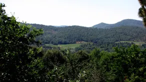 Gîte in the heart of the forest, 20 km from the French Riviera! - Image 4