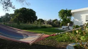 The Garden View House in Ialysos - Image 4