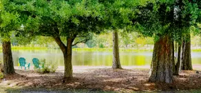 COZY WATERFRONT COTTAGE WITH BEAUTIFUL VIEWS-PET-FRIENDLY - Image 2