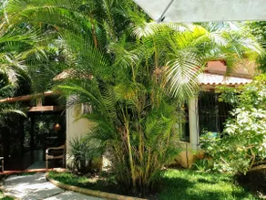 Sitio Nascente. Very green near the beach. - Image 4