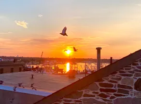 Crow's Nest Down Town New Bedford. - Image 3