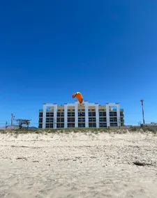 Refúgio Caravelas Loft on the sand with ocean view - Image 5