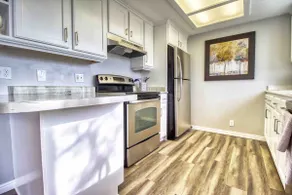 Renovated Basement Apartment with Stunning Views - Image 5