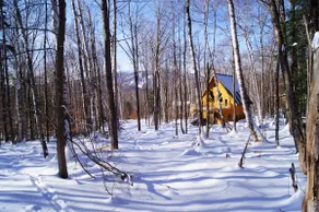 Artists Chalet minutes from Stratton Ski Resort - Image 2