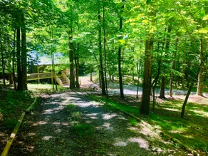 Dahlonega Dock Cabin - Hot Tub/Private Pond&Creek! - Image 2