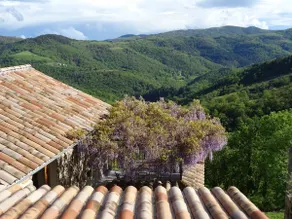Gîte de Chapelèche Les Glycines - Image 2