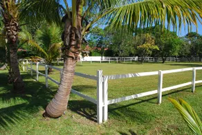 South Miami Gem-Cozy Oasis, 5 Min to Dadeland Mall - Image 3