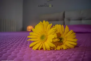 Apartamento Limpiados - Image 3