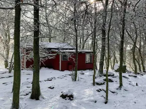 Happy Dogs Ranch-Cabin, Nature Retreat - Image 5
