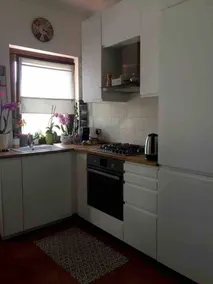 Jasmine - Image 3