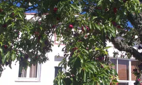 Come and enjoy nature comfortably. - Image 2