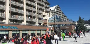 BOROVETS Royal Plaza - A409 - Image 5