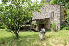 The Vineyard House - Image 2
