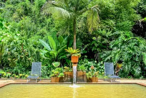Cabin with thermal pools - a magical place - Image 3