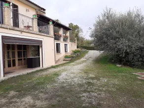 Villa among the olive trees 2 - Image 4