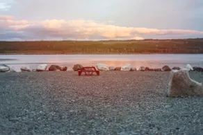 Gambo Pond Cottage - Image 5