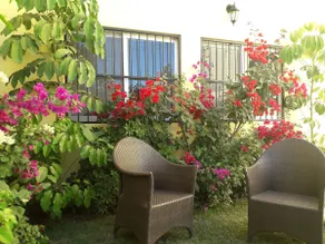 Bungalow 1 near the best beach & surfing - Image 5