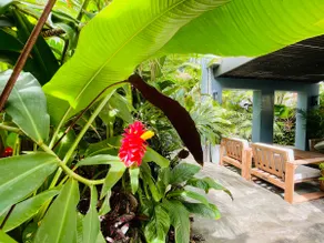 Lahania Lux Beach Villa - Cairns, Clifton Beach - Image 2