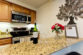 Luxurious and Cozy Downtown Garden Apartment - Image 5