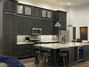 Upscale Fully Renovated Biltmore Penthouse - Image 4