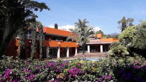 Finquita “El Milagro” Boutique Hotel - Image 3