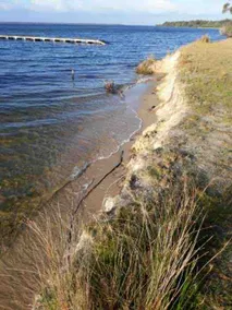 Burrunan Retreat Raymond Island - Image 4