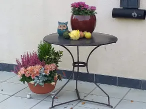 Au balcon de la Gaume - Image 5