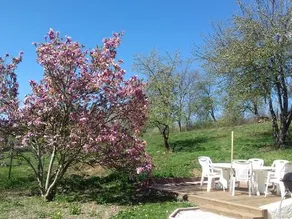 Nice vacation home 1–8 guests - Image 3