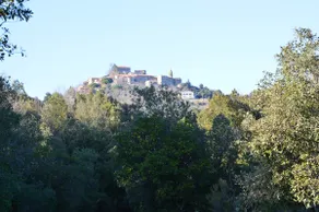 La Casa del Frantoiano - Pari - - Image 2