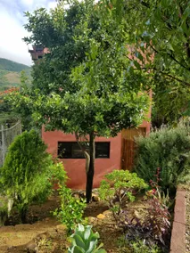 Garden House, Oaxaca - Image 3