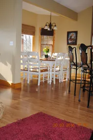 Change of Pace -Pet friendly - FIBER OPTIC - Image 4