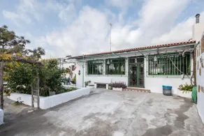 Finca Carrillo - Image 3