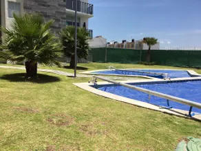 Large executive luxury apartment with pool - Image 3