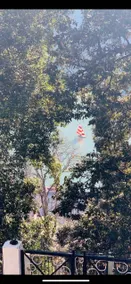Bellevue Retreat, Nainital -The Lake View Cottage - Image 4